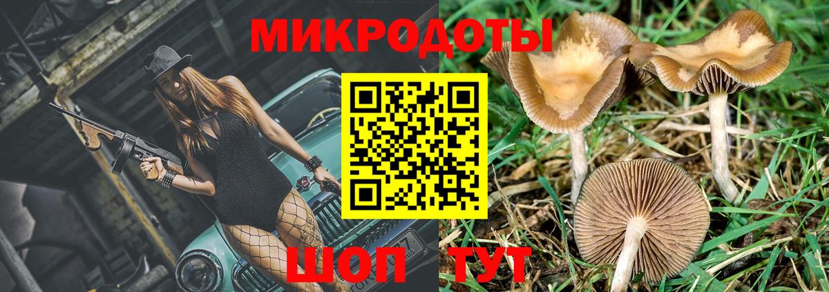 Псилоцибиновые грибы прущие грибы  Вход с VPN  Димитровград 
